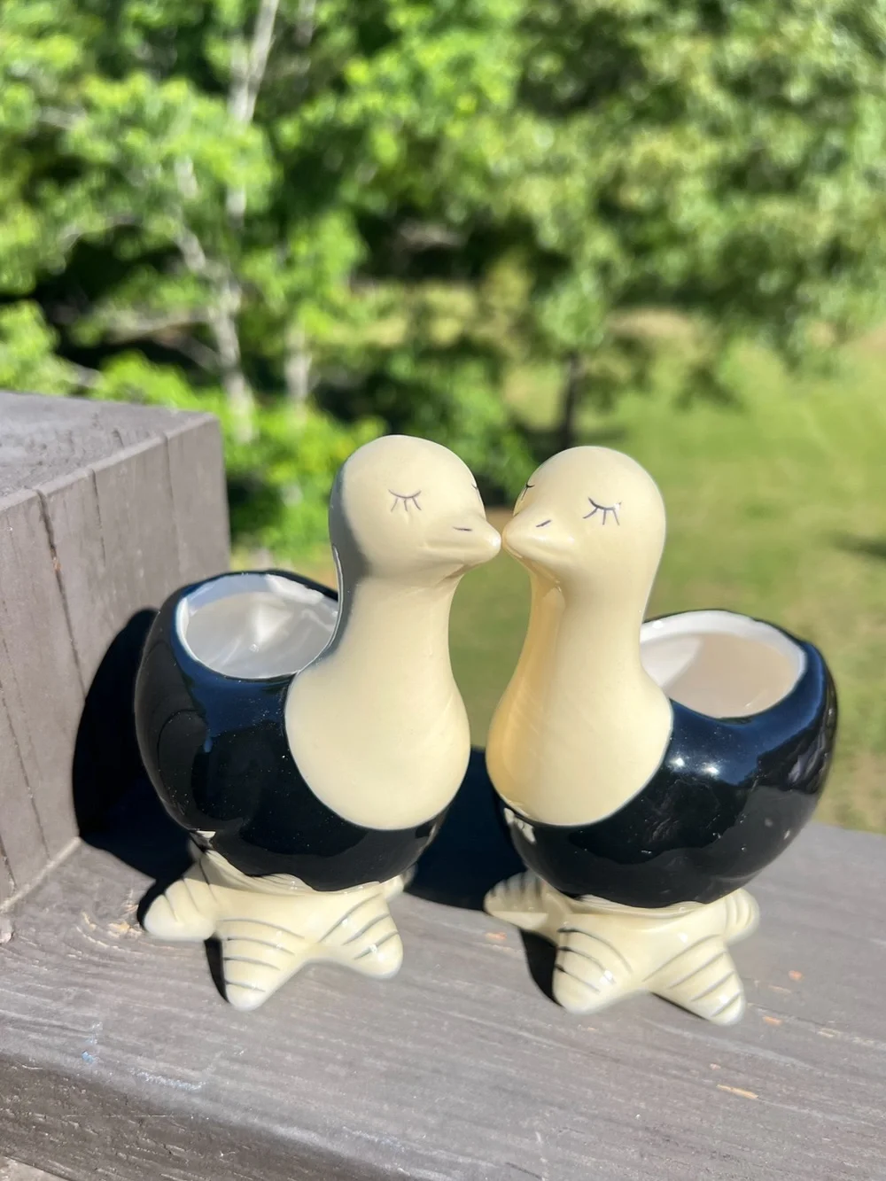 Cottage Ceramic Duck Planter Set Black White Bird Pots Succulent Planters New